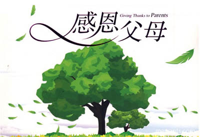 感恩父母