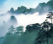 王勃《易阳早发》“云间迷树影，雾里失峰形”全诗赏析